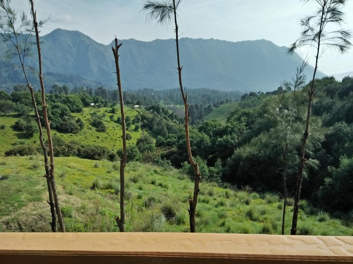 Lava View Lodge Bromo Exterior photo